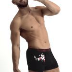 Коледни мъжки боксерки New Silhouette 6772