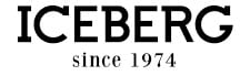 Iceberg logo